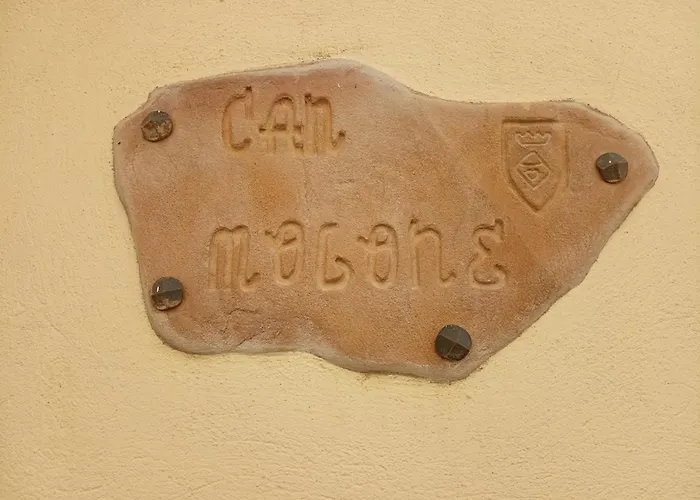 Can Molone